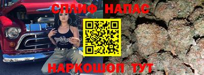 гашик Ирбит