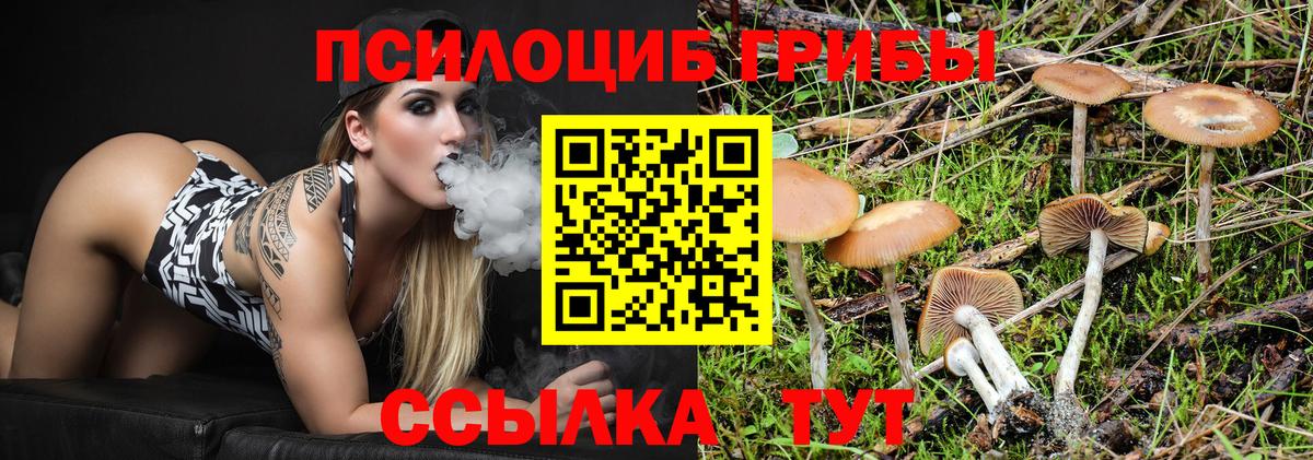 Ленинск-Кузнецкий  Галлюциногенные грибы Cubensis  Псилоцибиновые грибы GOLDEN TEACHER  Вход с VPN 